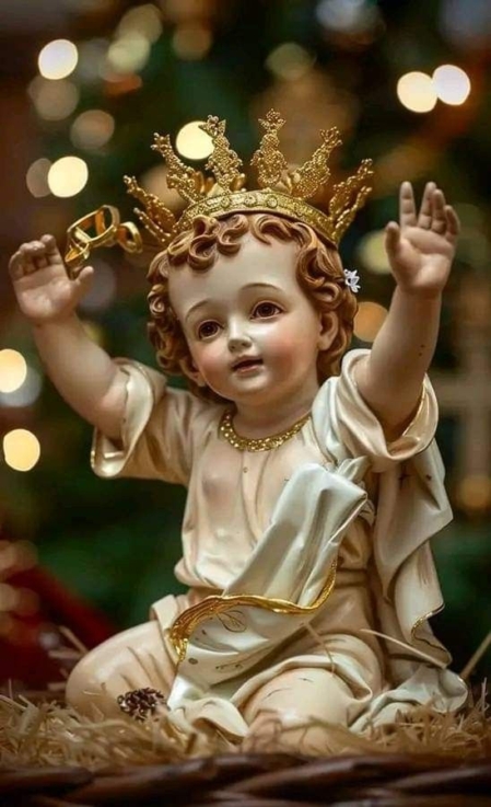 Niño REY Jesus Cristo